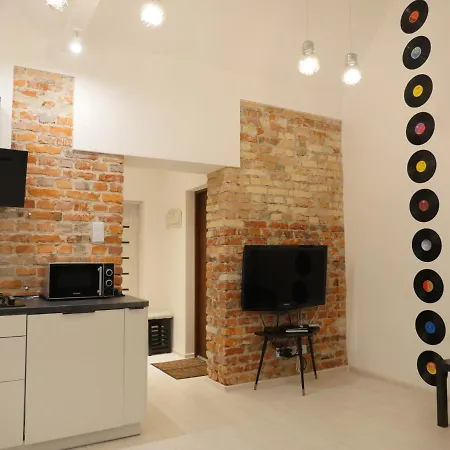 Art Vinyl Loft Apartment Bialystok Exterior photo