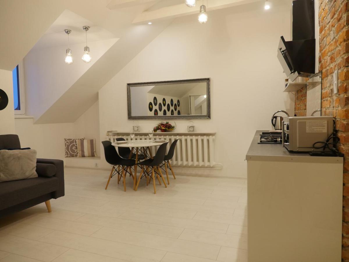 Art Vinyl Loft Apartment Bialystok