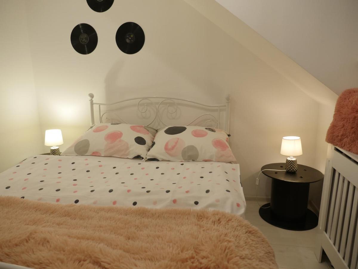 Art Vinyl Loft Apartment